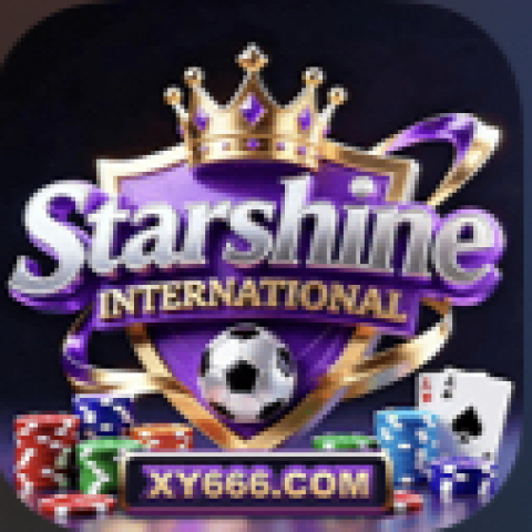 星耀国际